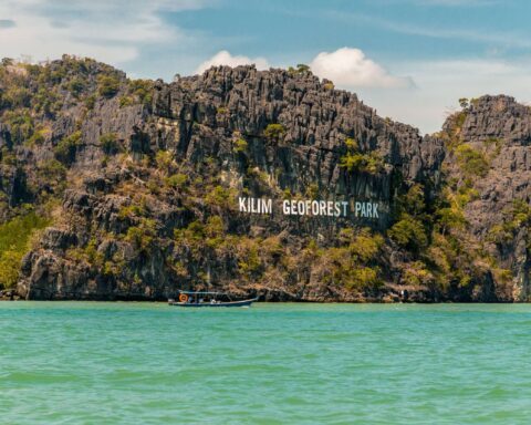 lk17_adobe-2500px-480x384-3115181